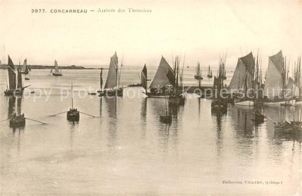Concarneau Finistere Arrivee des Thonniers