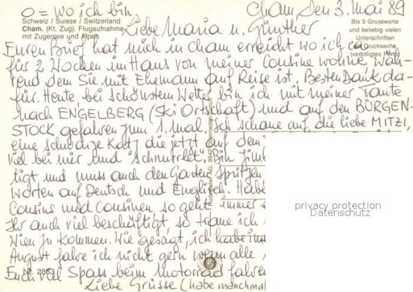 Cham ZG Fliegeraufnahme mit Zugersee und Alpen – Bild 2