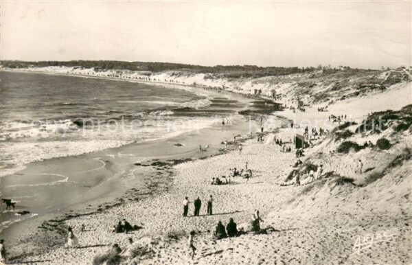 Ile d Oleron Les Sables Vignier