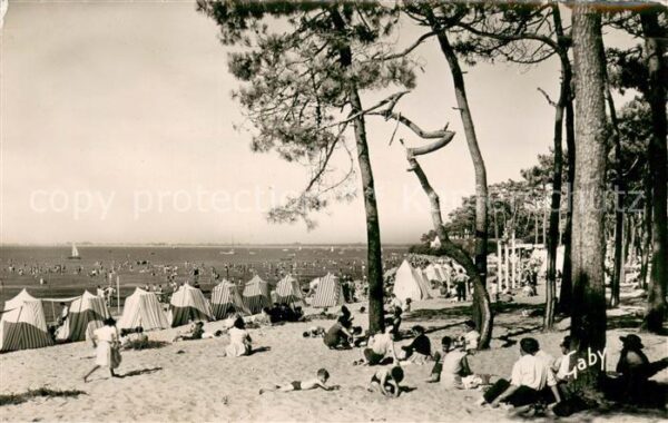 Ronce les Bains La Foret et la Plage de la Cepe