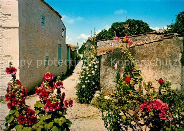 Talmont-Bourgenay Les roses tremieres