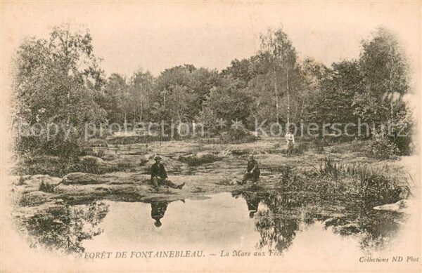 Fontainebleau Seine et Marne La Mare aux Fees