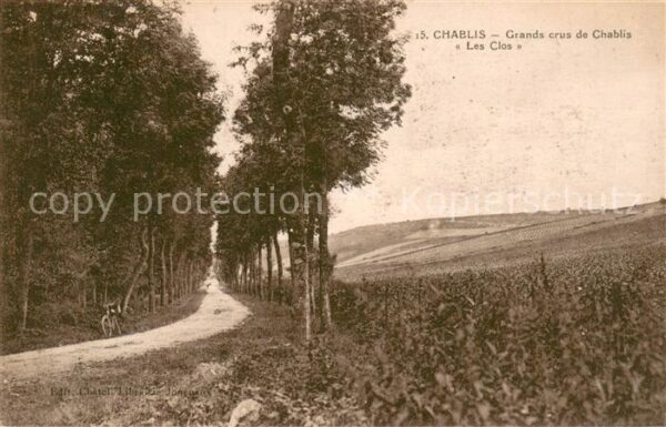 Chablis Grands crus de Chablis Les Clos