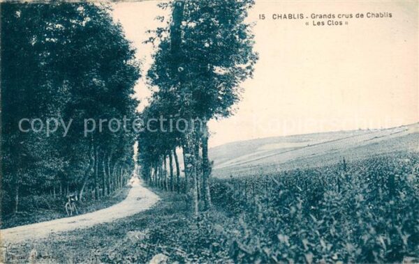 Chablis Grands crus de Chablis Les Clos