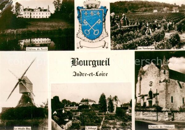 Bourgueil Chateau de Pavee Les Vendanges Le Mouli