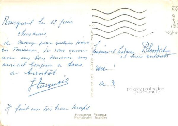 Bourgueil Chateau de Pavee Les Vendanges Le Mouli – Bild 2