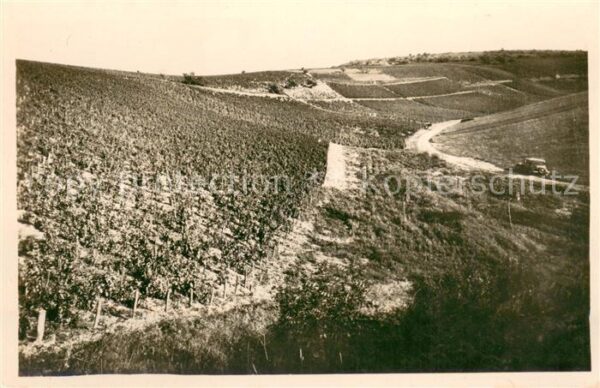 Chablis Les Vignes Vallee de Vaudesir
