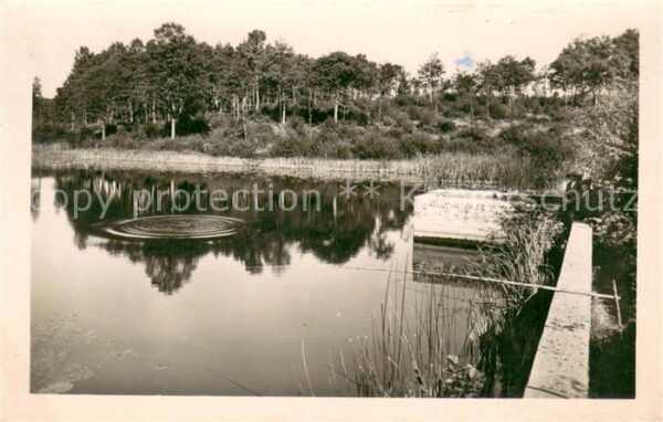 La Loupe Manou Etang de Haute Bresse