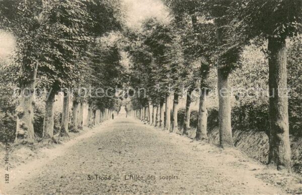 Saint Tropez Var Allee des soupirs