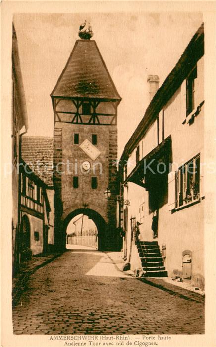 Ammerschwihr Porte haute Ancienne Tour avec nid de C
