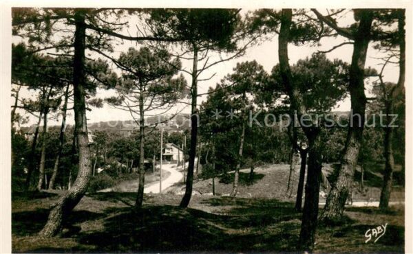La Baule sur Mer Sous bois