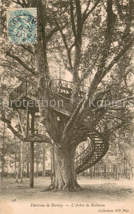 Bernay 27 Arbre de Robinson