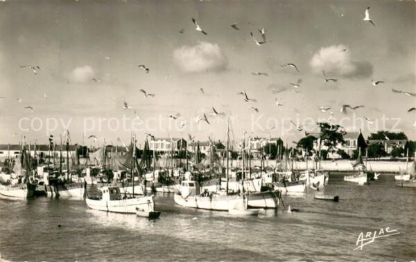 La Cotiniere Vol de Mouettes sur le port