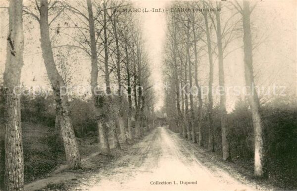 Saint-Marc-du-Cor Allee principale