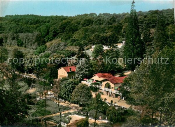 Mervent Foret de Mervent Vallee de Pierre Brune