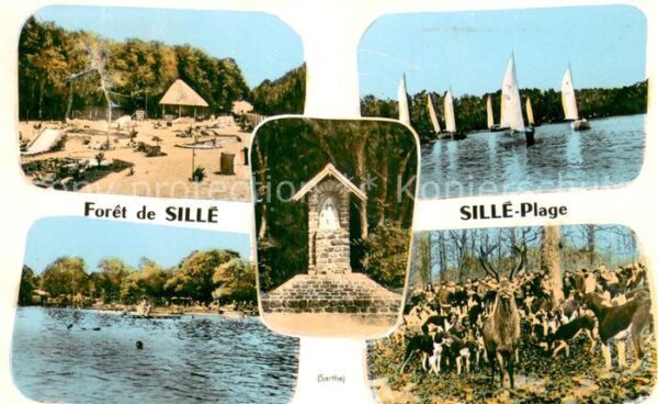 Sille-le-Guillaume Foret de Sille Sille Plage
