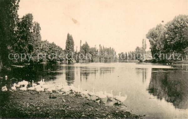 Salles en Toulon Bords de la Vienne