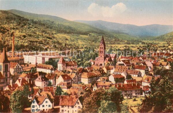 Munster Haut Rhin Elsass Vue Generale