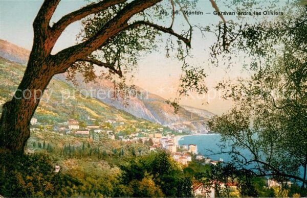Menton 06 Garavan entre les oliviers