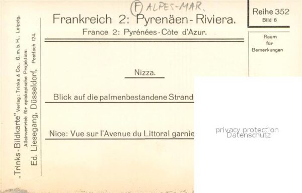 Nizza Blick auf palmenbestandene Strandpromen – Bild 2