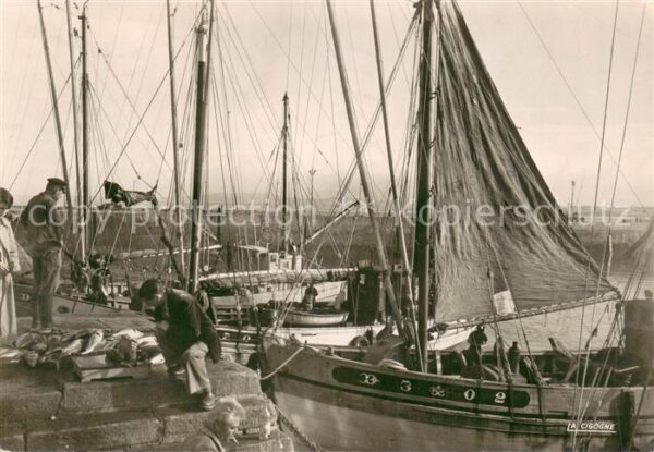Douarnenez Thonniers au port