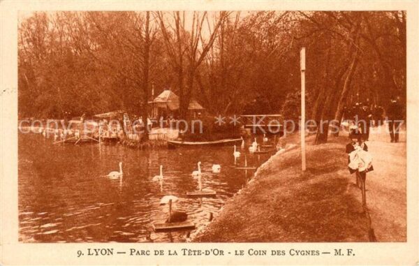 Lyon France Parc de la Tête d_Or Coin des cygnes