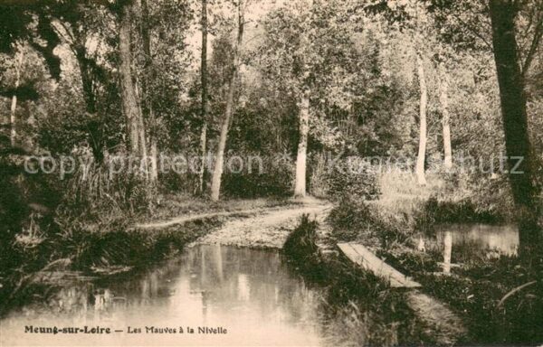 Meung-sur-Loire Les Mauves a la Nivelle
