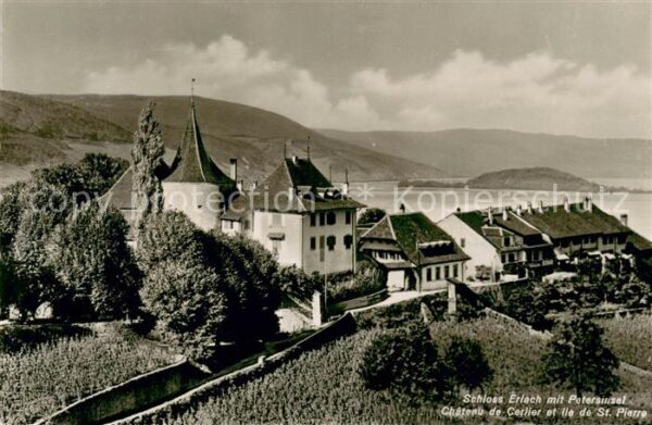 Erlach BE Schloss Erlach mit Petersinsel