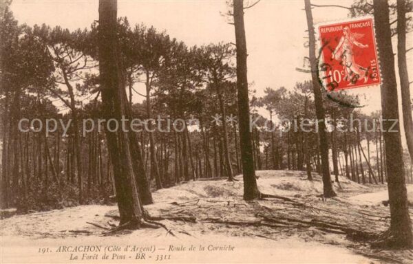 Arcachon 33 La Foret de Pins