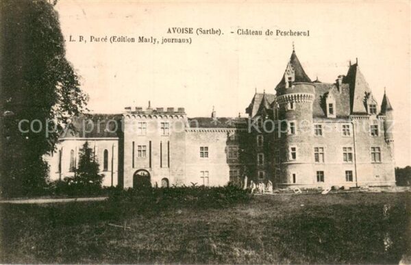 Avoise Chateau de Peschescul