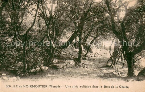 Ile de Noirmoutier Bois de la Chaize