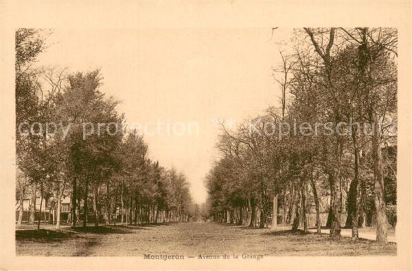 Montgeron Avenue de la Grange