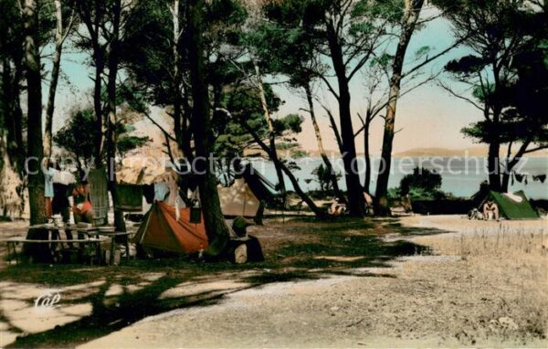 Hyeres les Palmiers Ile de Porquerolles Camping