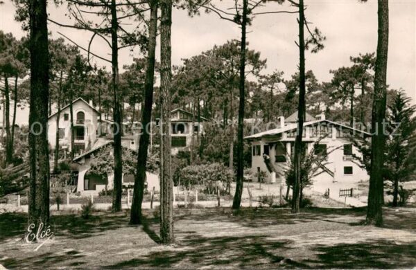 Bassin d Arcachon Les Belles Villas dans les Dunes