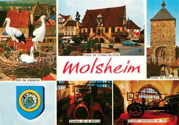 Molsheim Nid de cigones Place de l’Hotel de Vill