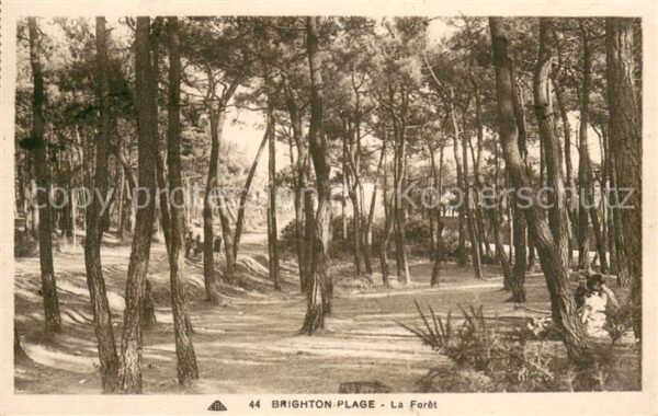 Brighton-Plage 80 La forêt