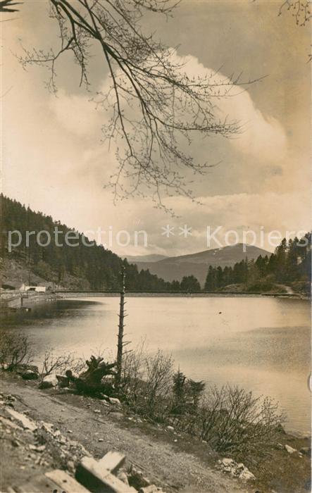 Munster 68 Haut Rhin Elsass Lac du Schiessrotried Vallee de Munster