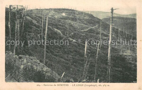 Munster 68 Haut Rhin Elsass Le Linge Lingekopf Vogeesen