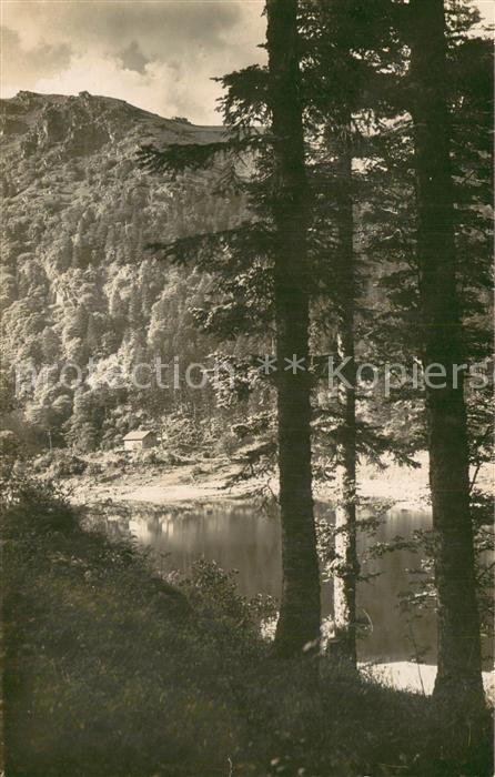 Munster 68 Haut Rhin Elsass Lac du Schiesrotried Natur
