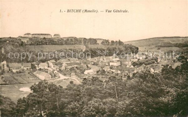 Bitche Moselle Vue Generale