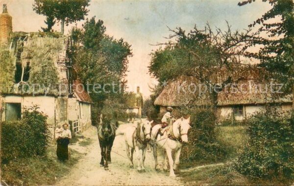 Cognac 16 Charente Nleukow Reklame