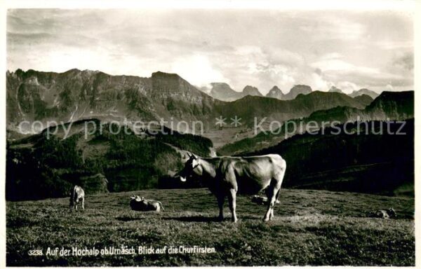 Urnaesch AR Auf der Hochalp Almvieh Kühe Blick auf