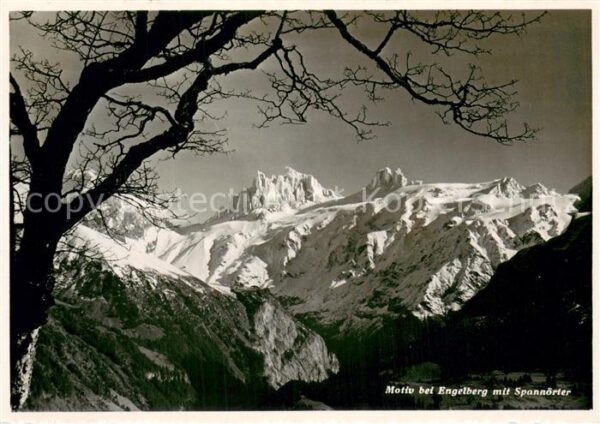Engelberg  OW Bergwelt Motiv mit Spannörter Urner Alp