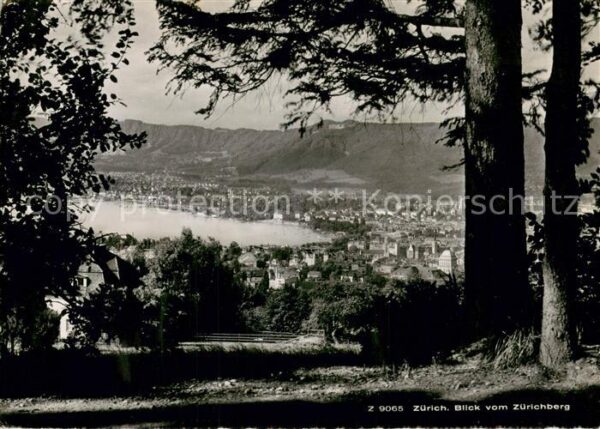 Zuerich ZH Panorama Blick auf den Zürichsee vom Zü