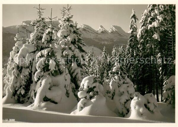 Unterwasser Toggenburg Winterimpressionen Churfirsten