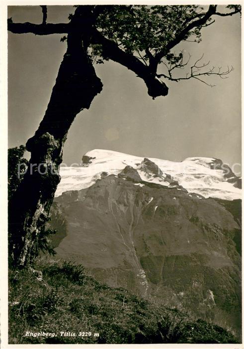Engelberg  OW Blick zum Titlis Urner Alpen