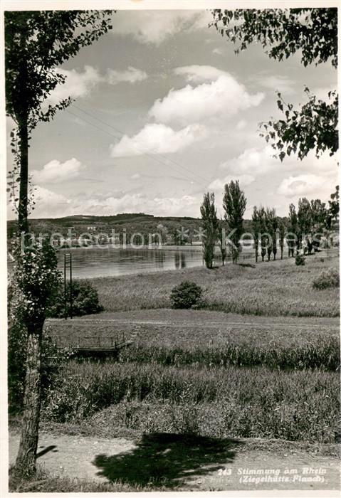 Flaach ZH Stimmung am Rhein