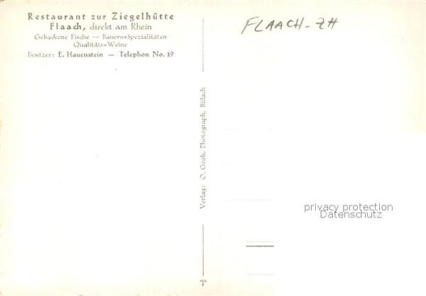 Flaach ZH Stimmung am Rhein – Bild 2