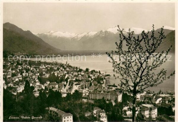 Locarno TI Panorama Lago Maggiore Alpen
