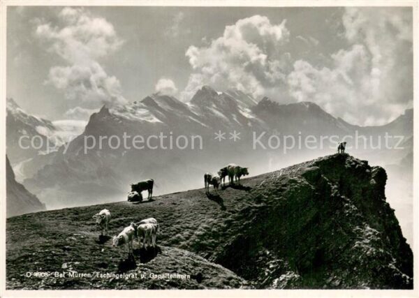 Muerren BE Tschingelgrat und Gspaltenhorn Berner A
